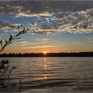 Meet your Posher, Maddi